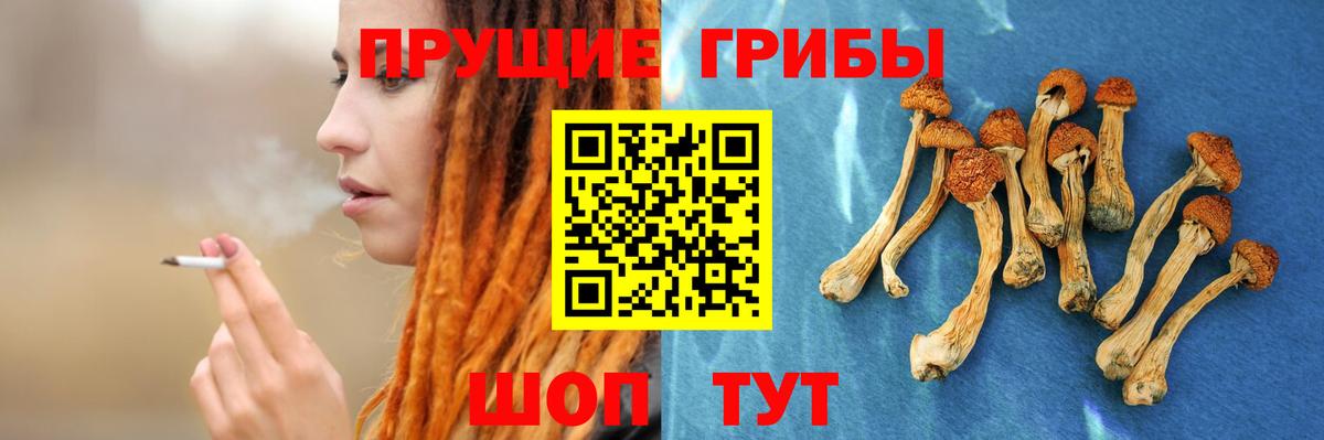 Нефтекумск  Псилоцибиновые грибы MAGIC MUSHROOMS  Вход с VPN 