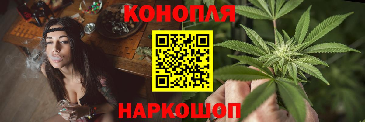 Бошки Шишки гибрид Нефтекумск